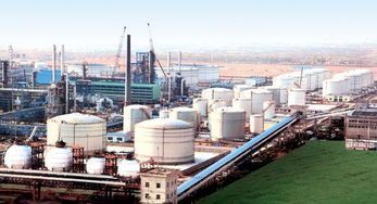 ������ҵ